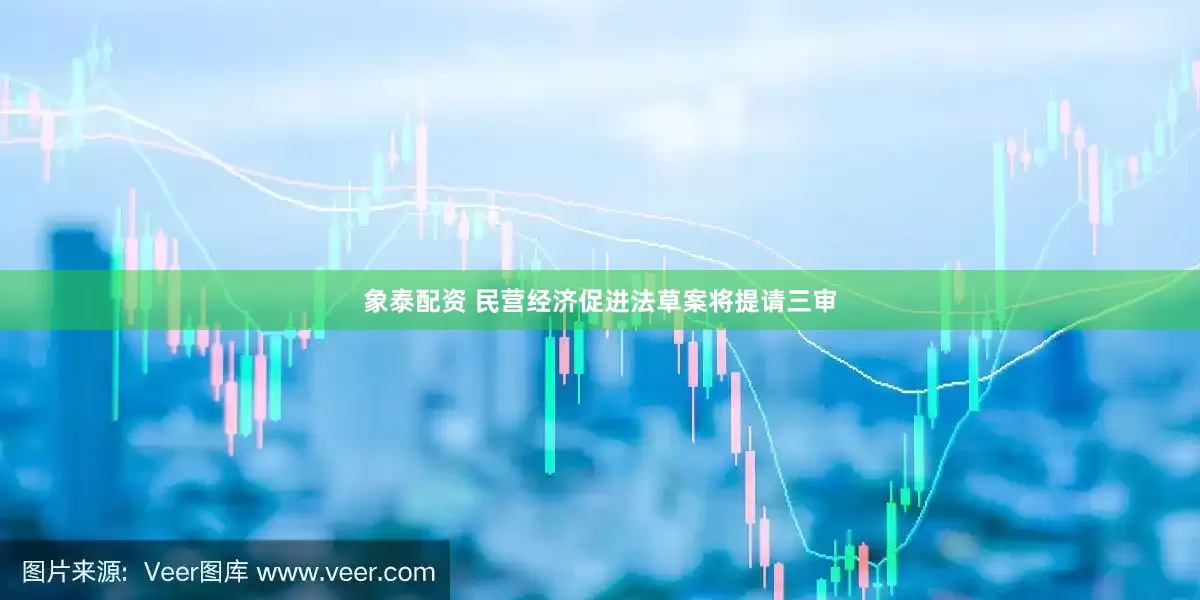 象泰配资 民营经济促进法草案将提请三审