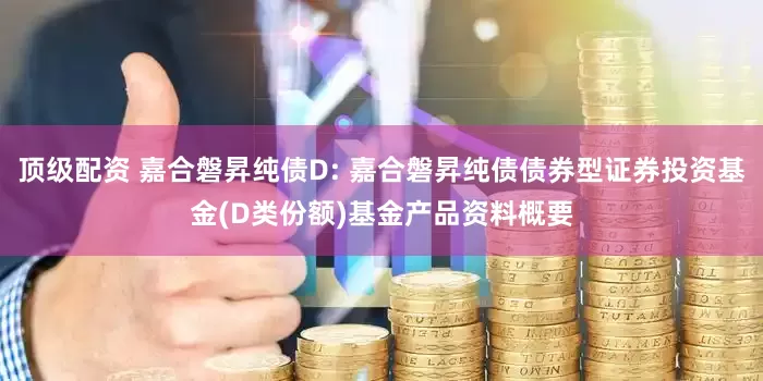 顶级配资 嘉合磐昇纯债D: 嘉合磐昇纯债债券型证券投资基金(D类份额)基金产品资料概要