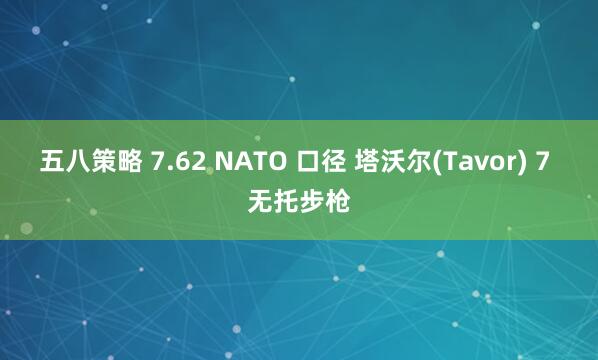 五八策略 7.62 NATO 口径 塔沃尔(Tavor) 7 无托步枪