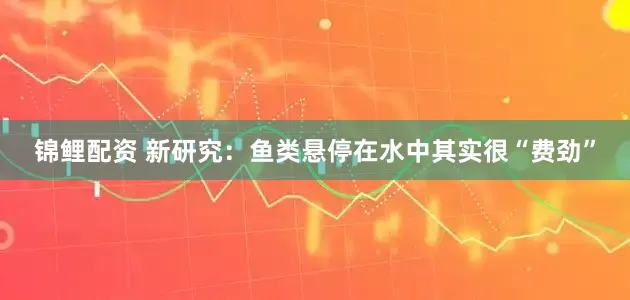 锦鲤配资 新研究：鱼类悬停在水中其实很“费劲”
