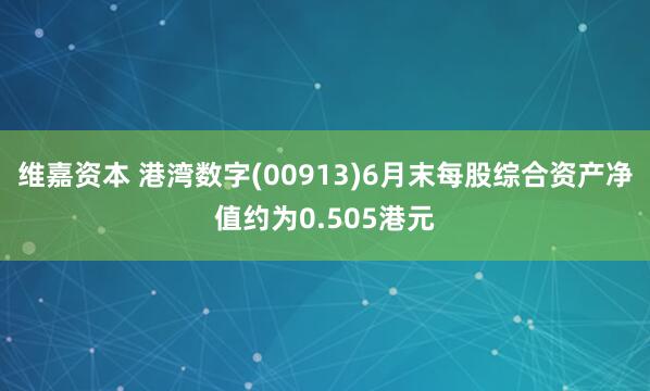 维嘉资本 港湾数字(00913)6月末每股综合资产净值约为0.505港元