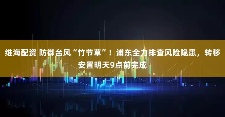 维海配资 防御台风“竹节草”！浦东全力排查风险隐患，转移安置明天9点前完成