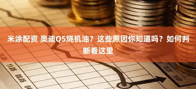 米涂配资 奥迪Q5烧机油？这些原因你知道吗？如何判断看这里