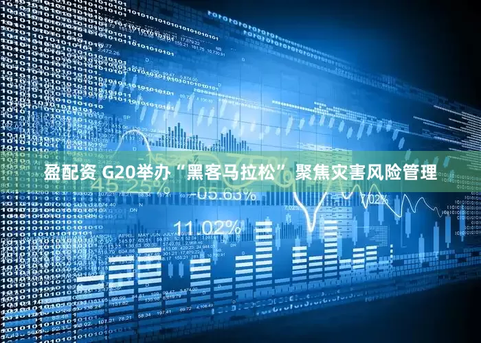 盈配资 G20举办“黑客马拉松” 聚焦灾害风险管理