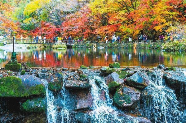 云管家 绚丽金秋